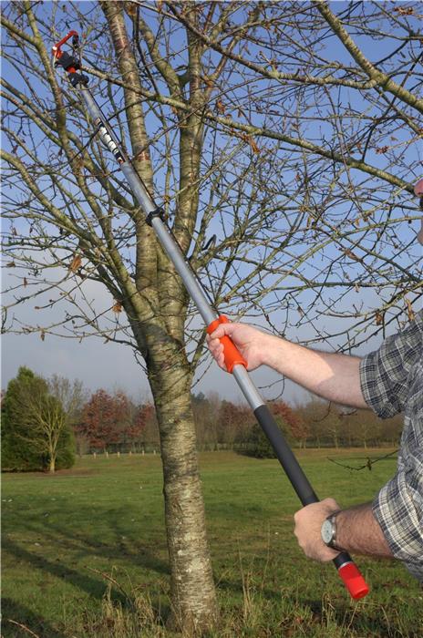 Echenilloir a vendre:
Achat d'échenilloir sur Echenilloir.com