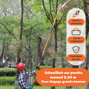 Echenilloir sur perche en action sur un arbre