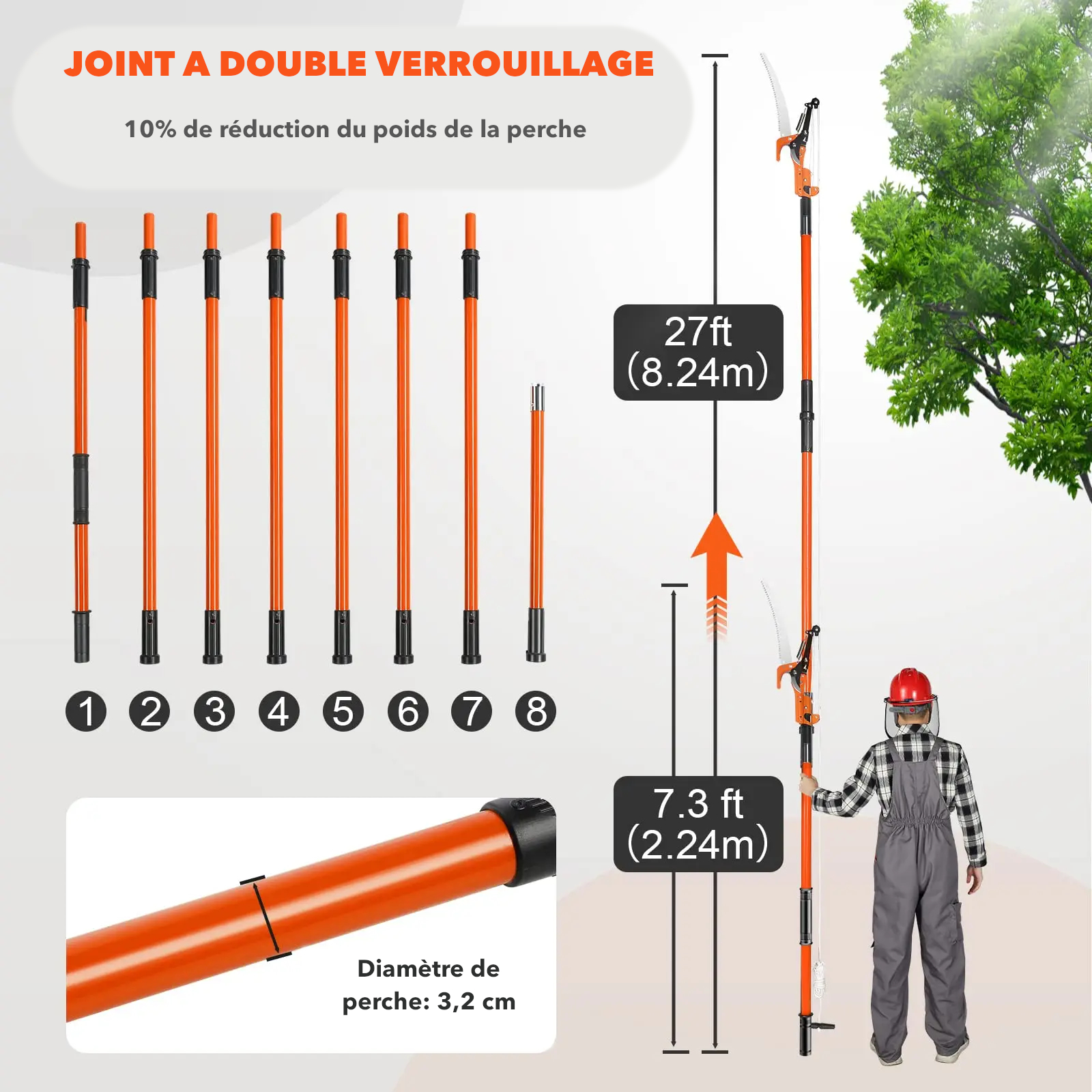Dimensions et échelles de proportion de l'échenilloir sur perche