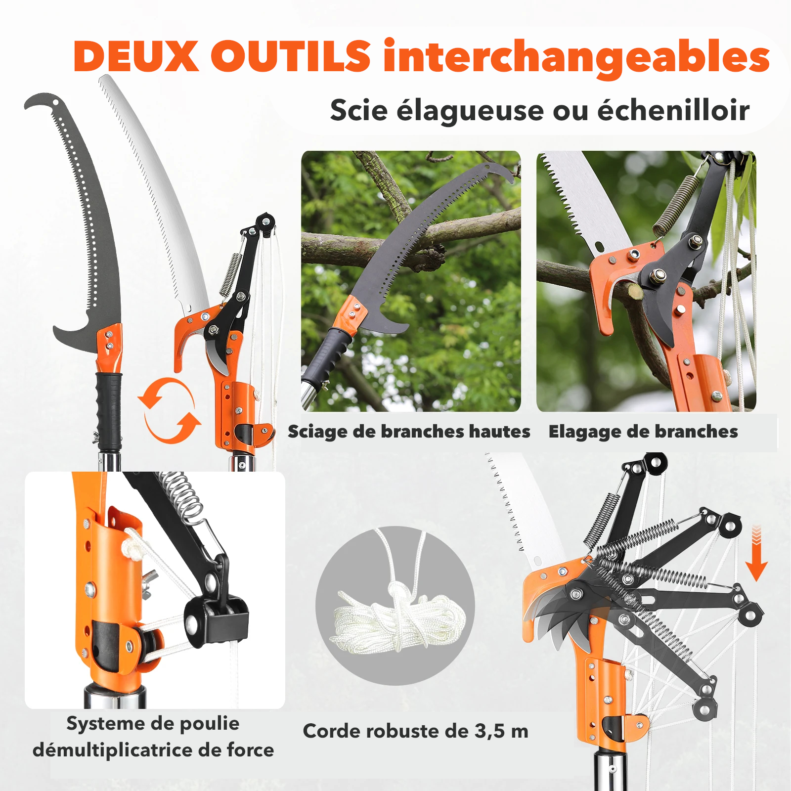 échenilloir sur perche et scie élagueuse interchangeable