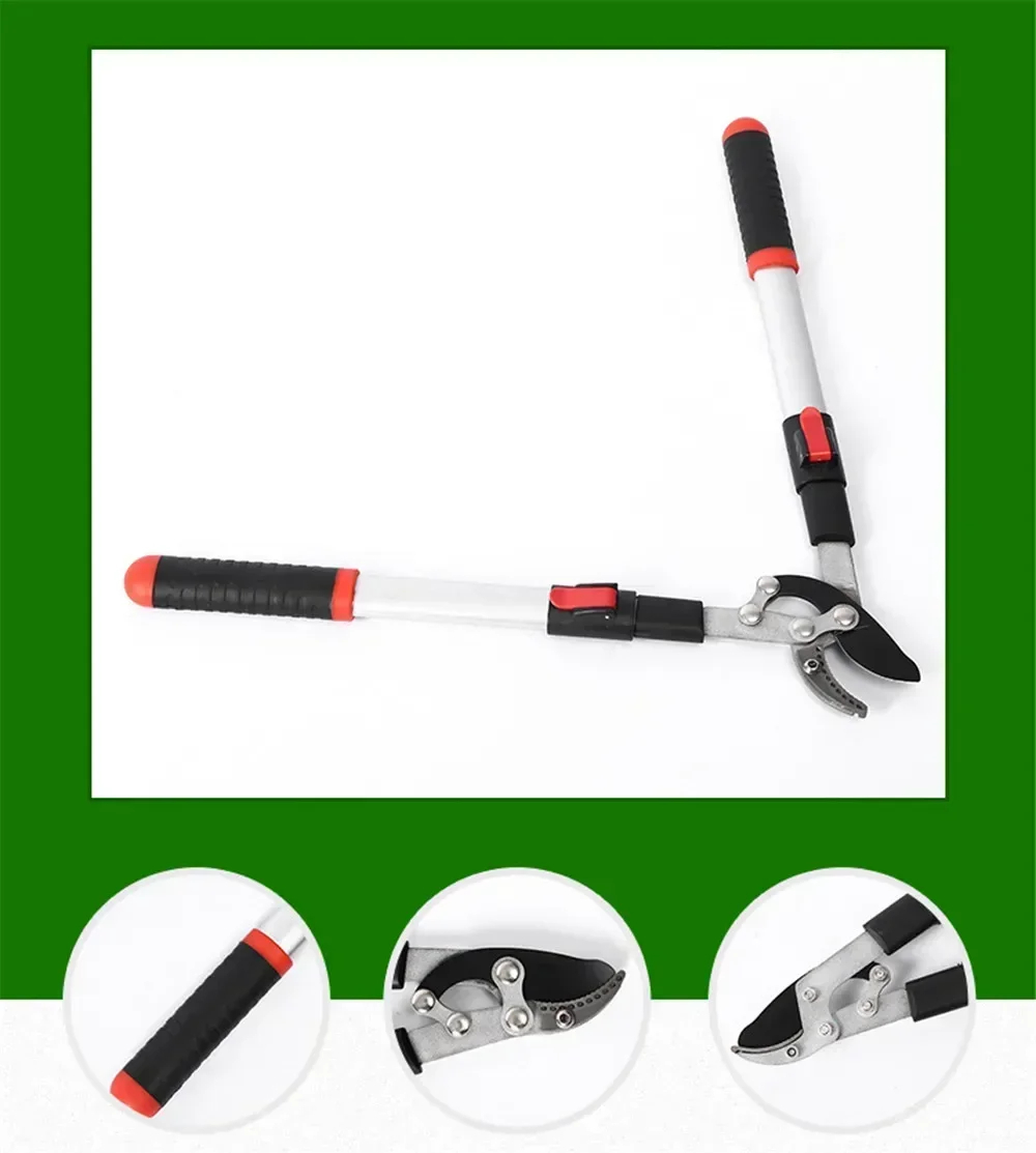 présentation du coupe branche télescopique en vente