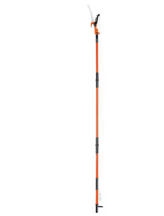 Échenilloir professionnel télescopique 8 m avec scie – Image 4